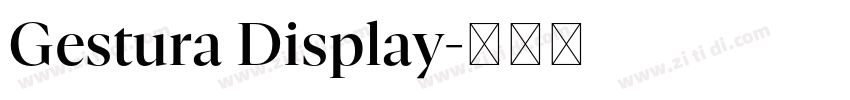 Gestura Display字体转换 Gestura Display字体转换